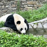 評論圖片 1
