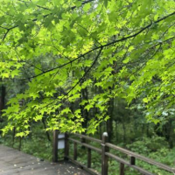 評論圖片 9