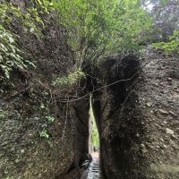 評論圖片 6