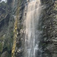 評論圖片 7