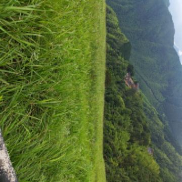 評論圖片 3