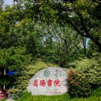 評論圖片 4