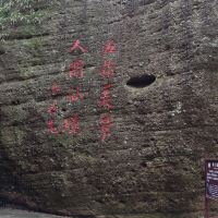 評論圖片 4