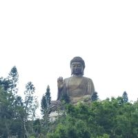評論圖片 8