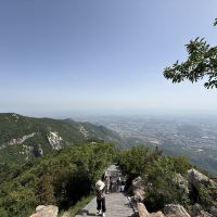 評論圖片 3