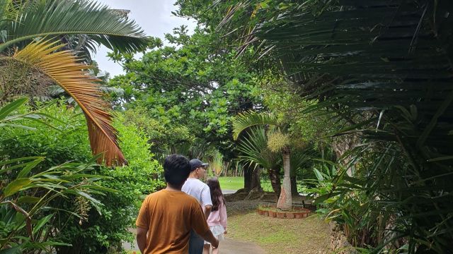 review picture