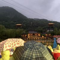 評論圖片 3