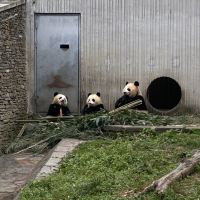 評論圖片 1