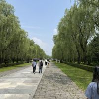 評論圖片 3