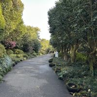 評論圖片 2