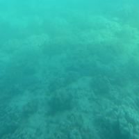 評論圖片 2