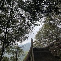 評論圖片 8