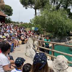 Zoo Aquarium de Madrid