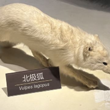 評論圖片 1