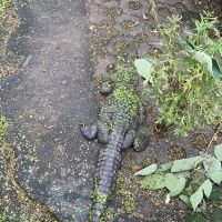 評論圖片 2