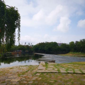 評論圖片 6
