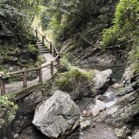 評論圖片 3