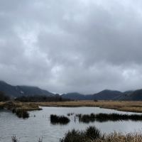 評論圖片 3