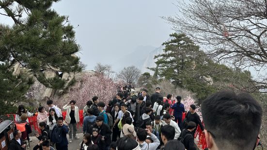 去的时候是阴天，上到西峰顶就可以看到云海，太美啦，，天气好的