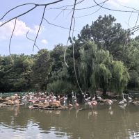 評論圖片 1