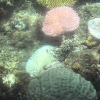 評論圖片 1