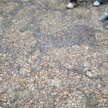 評論圖片 3