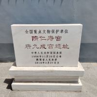 評論圖片 9