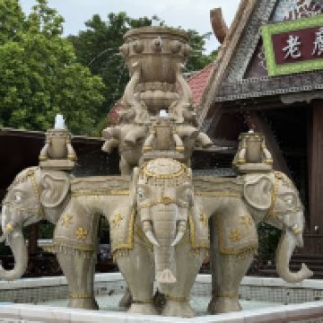 評論圖片 7