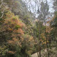 評論圖片 3