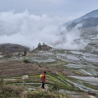 評論圖片 1