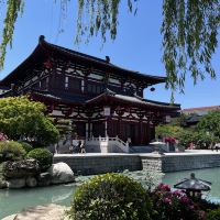 評論圖片 2