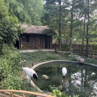 評論圖片 7
