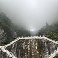 評論圖片 6