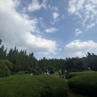 評論圖片 7