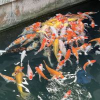 評論圖片 5