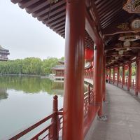 評論圖片 4