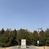 評論圖片 8