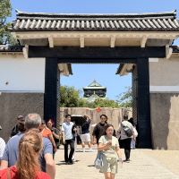 評論圖片 6