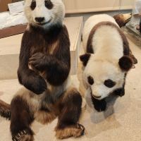評論圖片 3