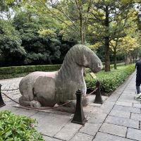 評論圖片 3
