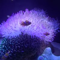 評論圖片 3