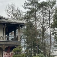評論圖片 4