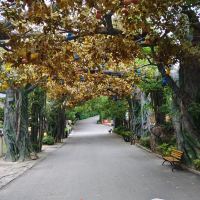 評論圖片 3