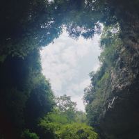 評論圖片 5