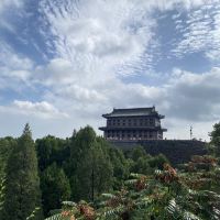 評論圖片 8