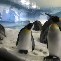評論圖片 3