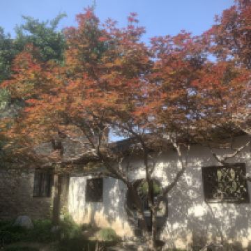 評論圖片 3