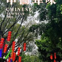 評論圖片 5