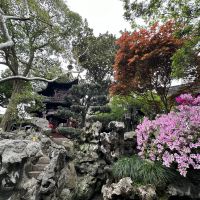 評論圖片 7