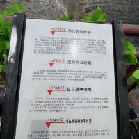 評論圖片 4
